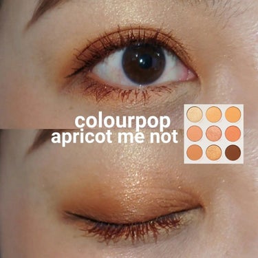  アプリコット ミー ノット/ColourPop/アイシャドウパレットを使ったクチコミ（1枚目）