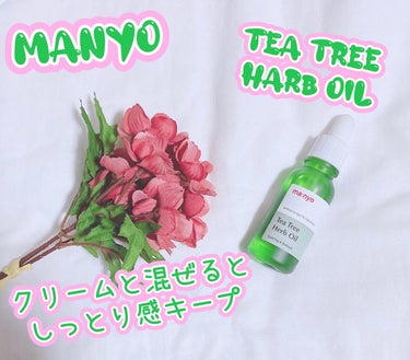 魔女工場 ティーツリーハーブオイルのクチコミ「𓍯manyo
🎄tea tree harb oil
𓂃𖧷𓂃𖧷𓂃𖧷𓂃𖧷𓂃𖧷𓂃𖧷𓂃
⁡
アドベント.....」（1枚目）