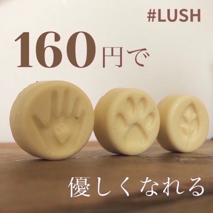 チャリティポット コイン/ラッシュ/ボディローションを使ったクチコミ(1枚目)