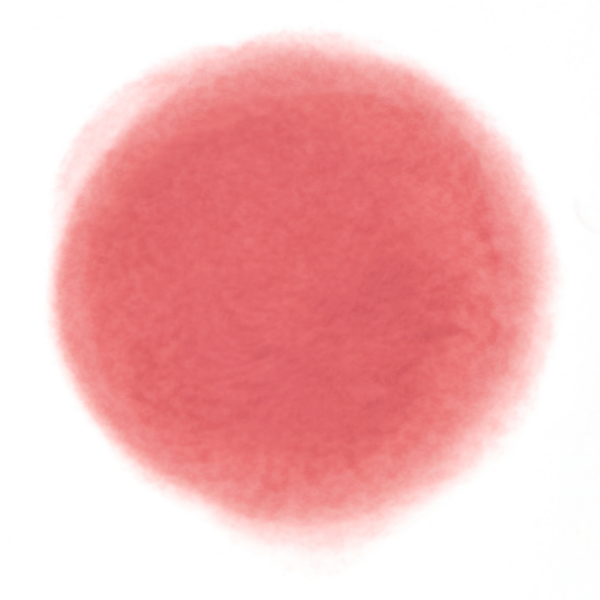 リップアンドチーク ブラーリープリンポット PK02 スカート