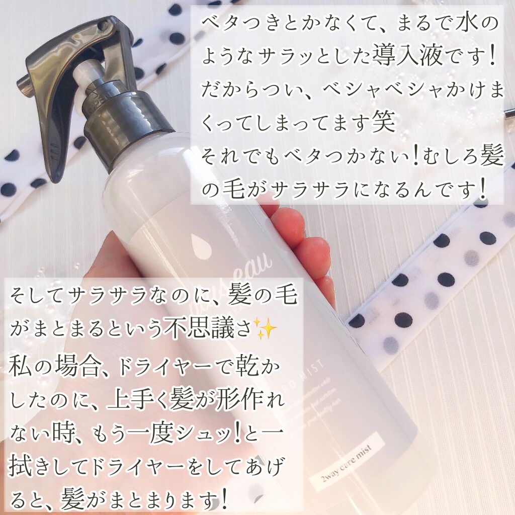 ハイドロミストN/plus eau/アウトバストリートメントを使ったクチコミ(2枚目)