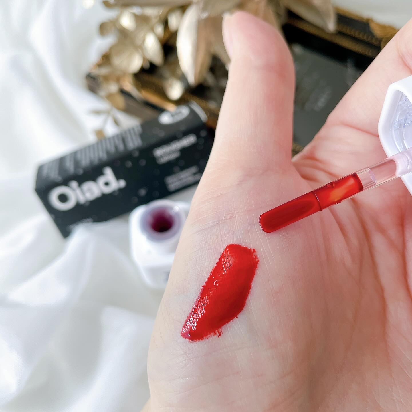 リップティーク/oiad/口紅を使ったクチコミ（3枚目）