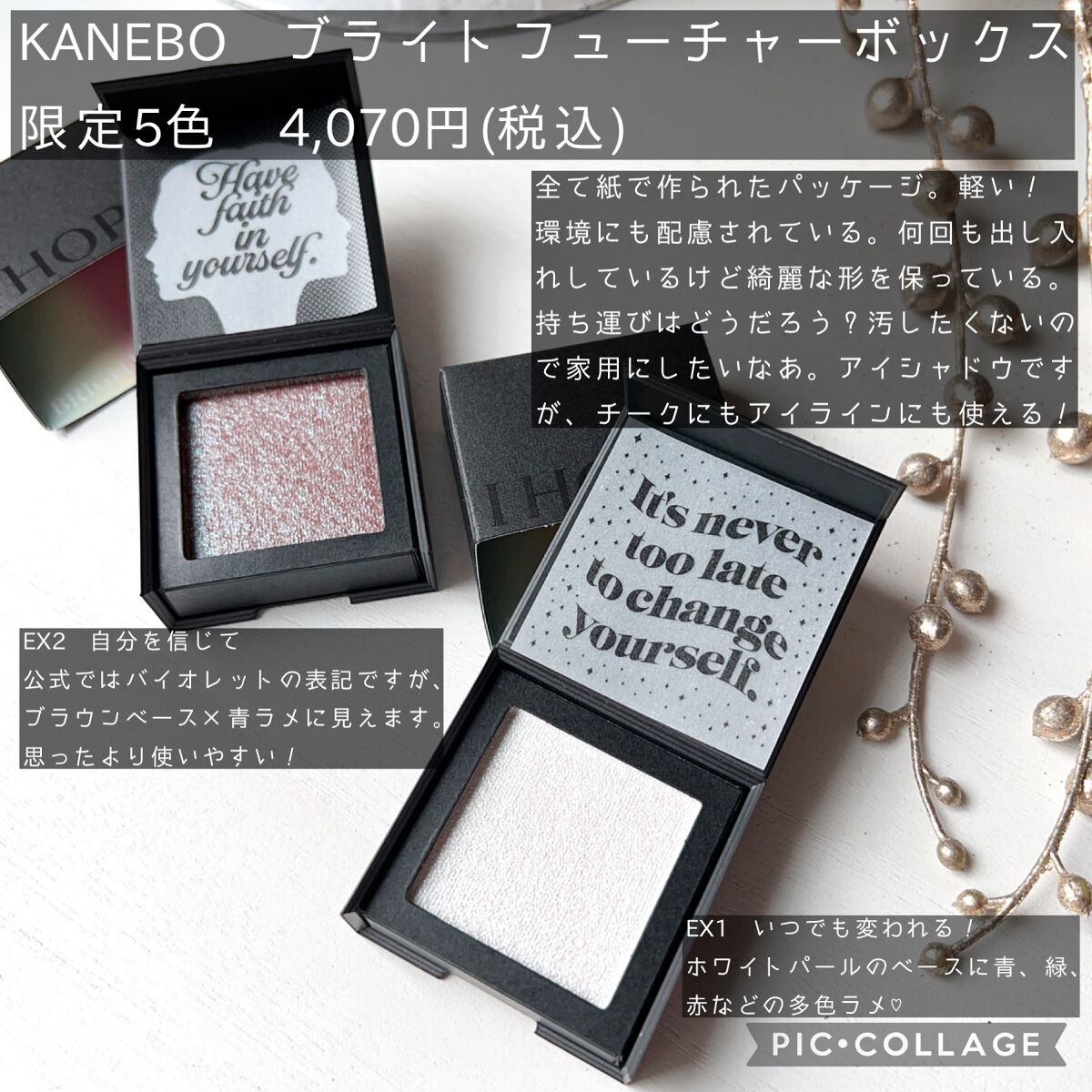 ブライトフューチャーボックス EX1 It's never too late to change yourself/KANEBO/単色アイシャドウを使ったクチコミ（2枚目）
