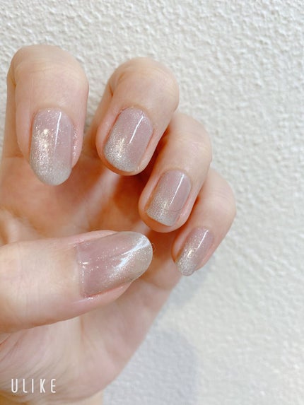 マグネットジェル/NAILTOWN/ジェルネイルを使ったクチコミ(2枚目)