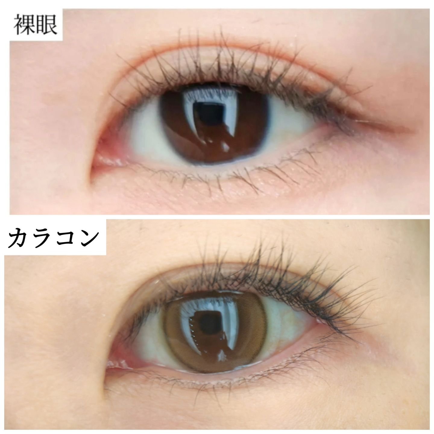 ShineTouch 1day/OLENS/ワンデー（１DAY）カラコンを使ったクチコミ（3枚目）