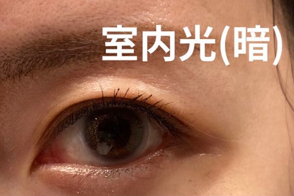 Angelcolor Bambi Series Vintage 1day/AngelColor/ワンデー(1DAY)カラコンを使ったクチコミ(3枚目)