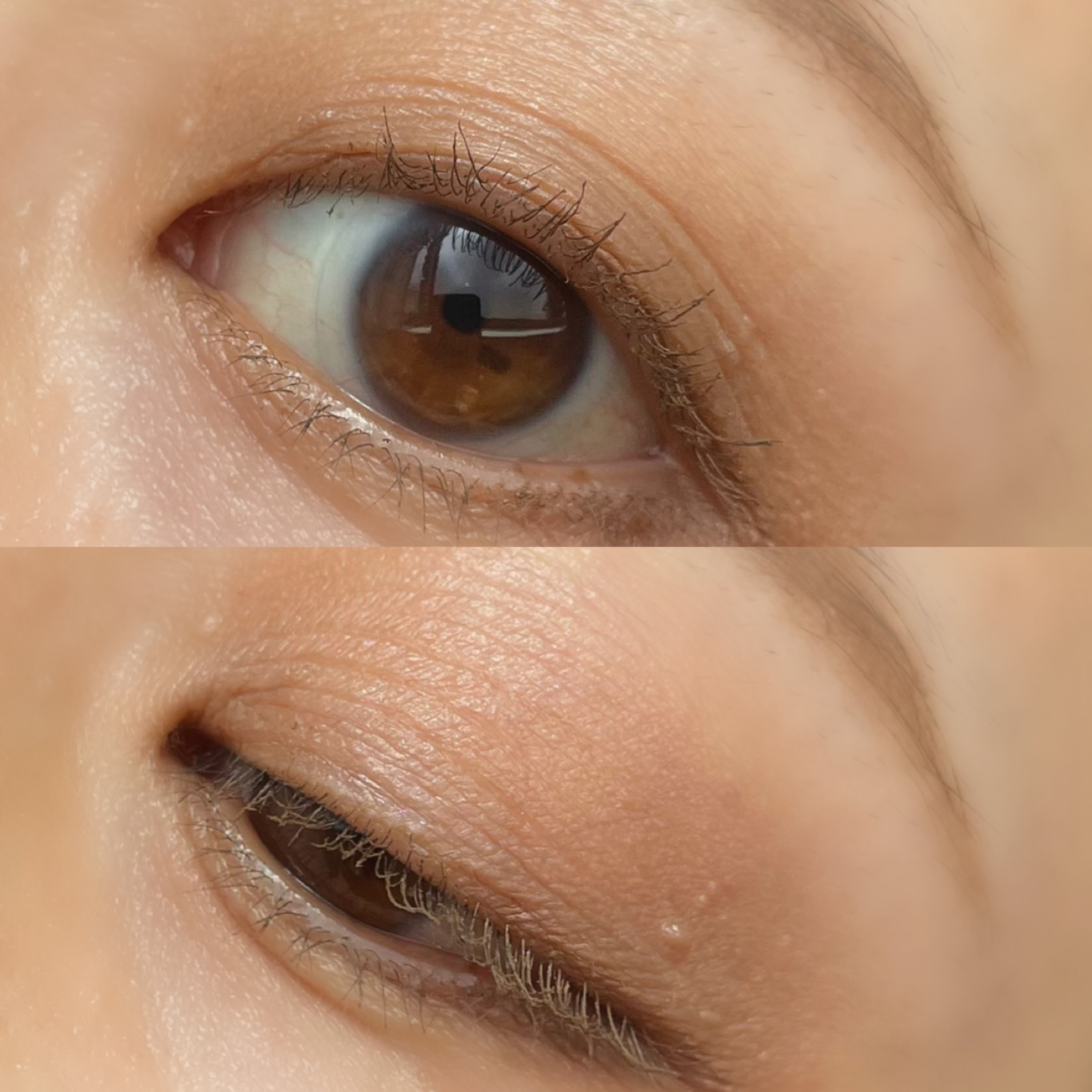 セルヴォーク ヴァティック アイパレット 09 タイムレスキャメル/Celvoke/アイシャドウパレットを使ったクチコミ（3枚目）