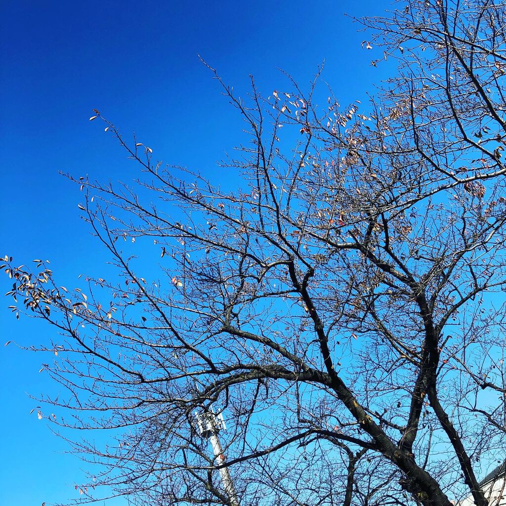 AHA 30% + BHA 2% Peeling Solution/The Ordinary/ピーリングを使ったクチコミ(1枚目)