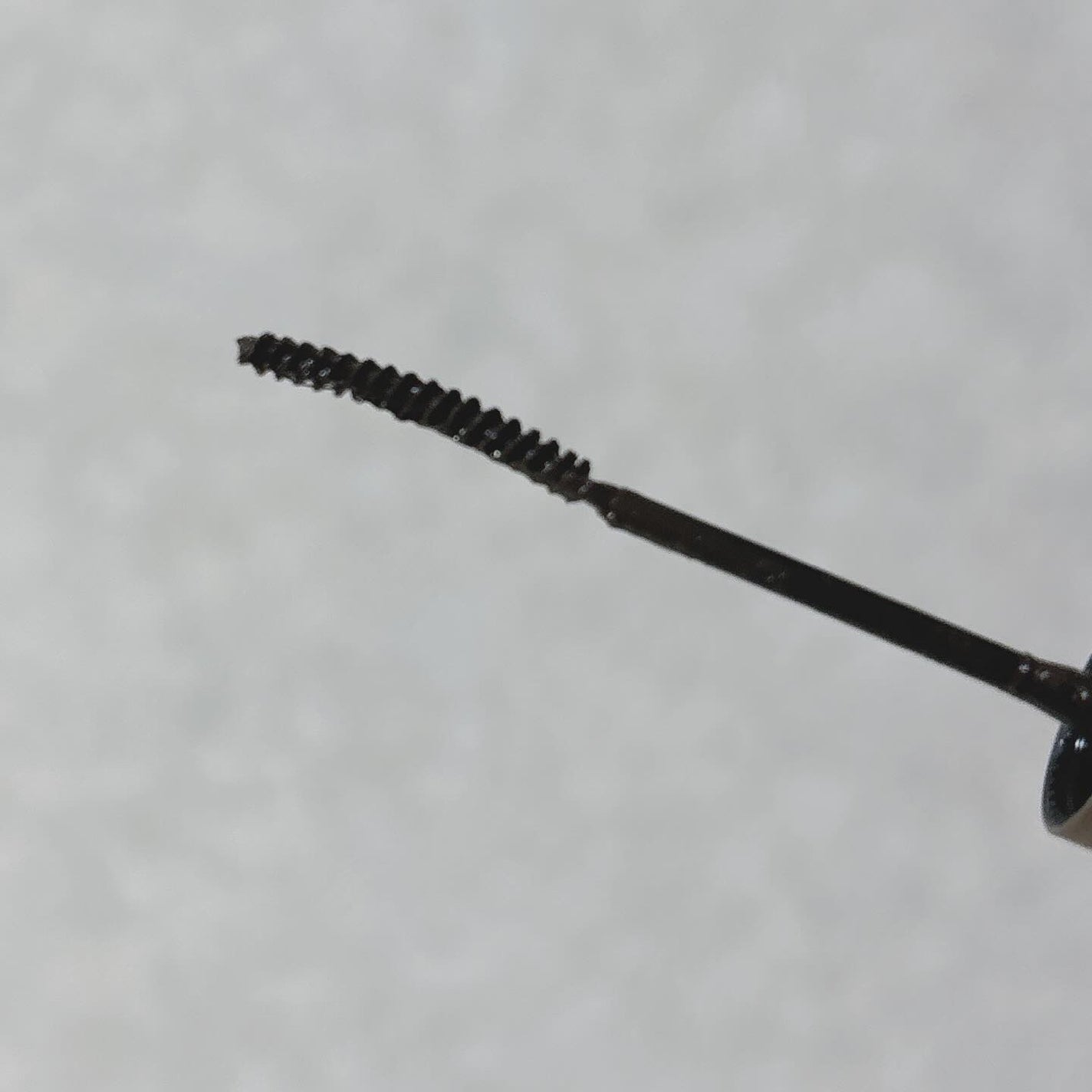 インスパイアスキニーカーリングマスカラ/mude./マスカラを使ったクチコミ(2枚目)