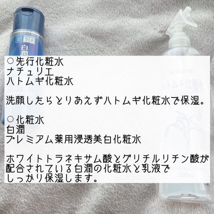 ハトムギ化粧水(ナチュリエ スキンコンディショナー R )/ナチュリエ/化粧水を使ったクチコミ(2枚目)