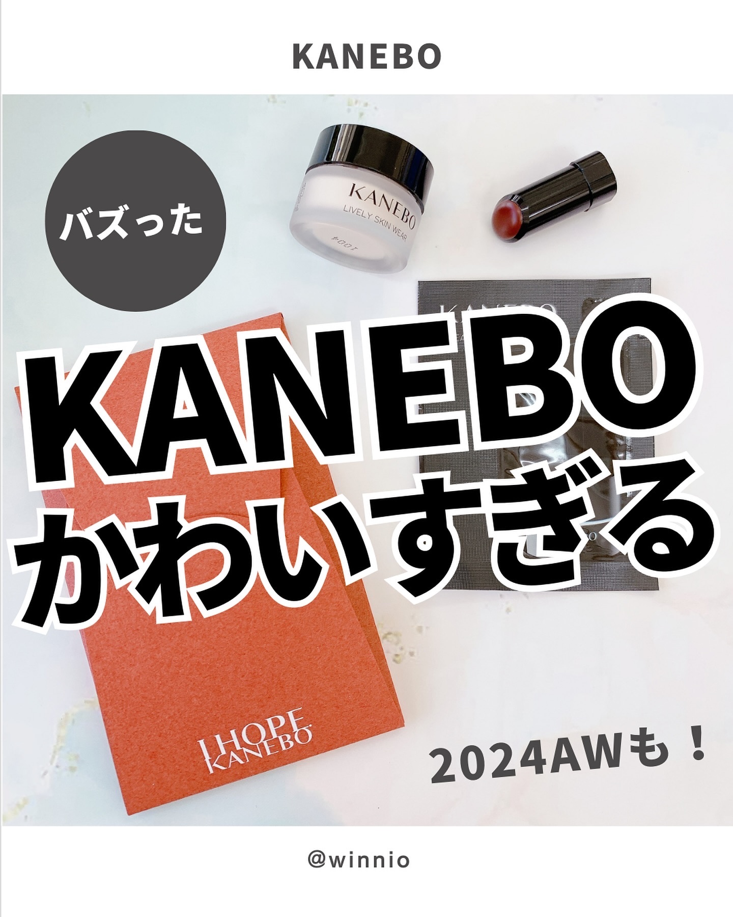 ルージュスターヴァイブラント/KANEBO/口紅を使ったクチコミ（1枚目）