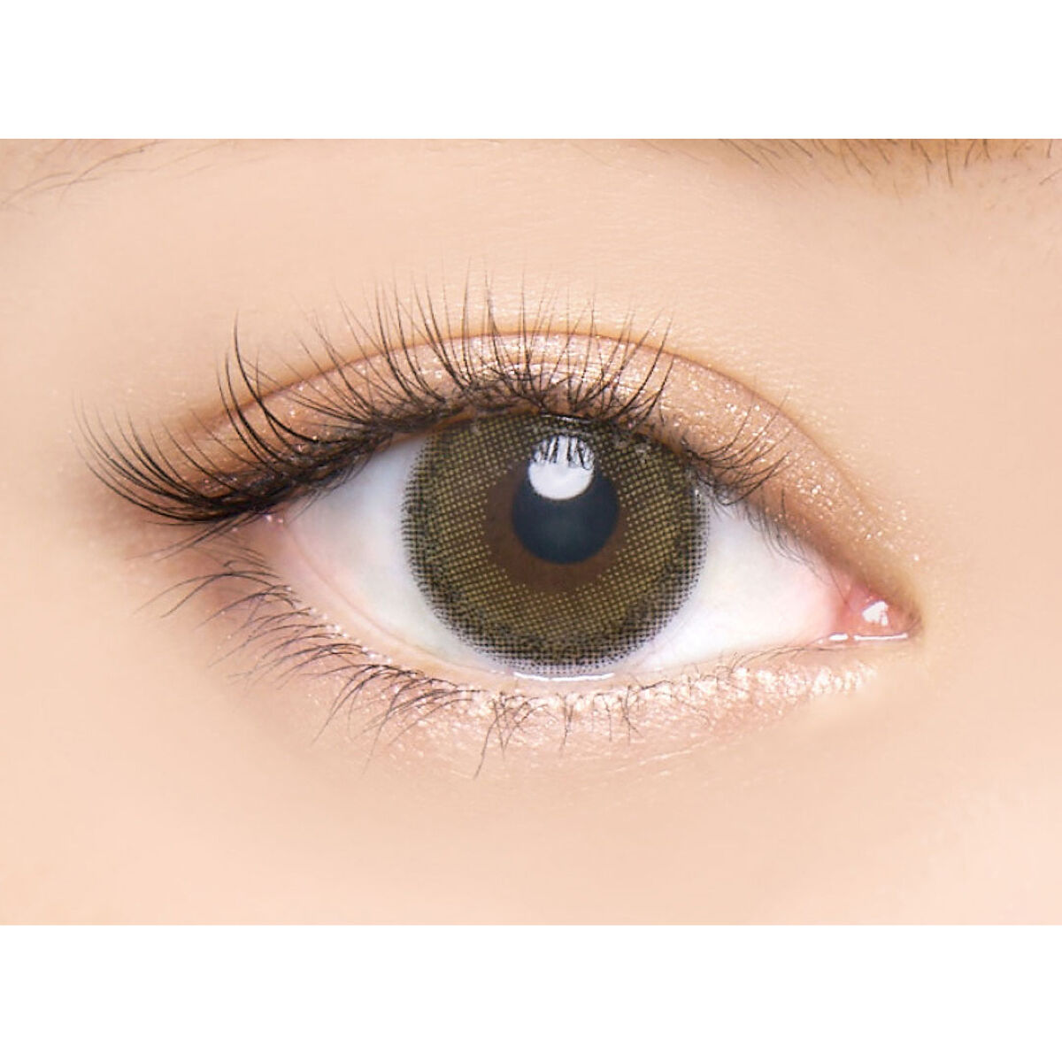 バンビシリーズ ワンデー ナチュラル Pure Olive