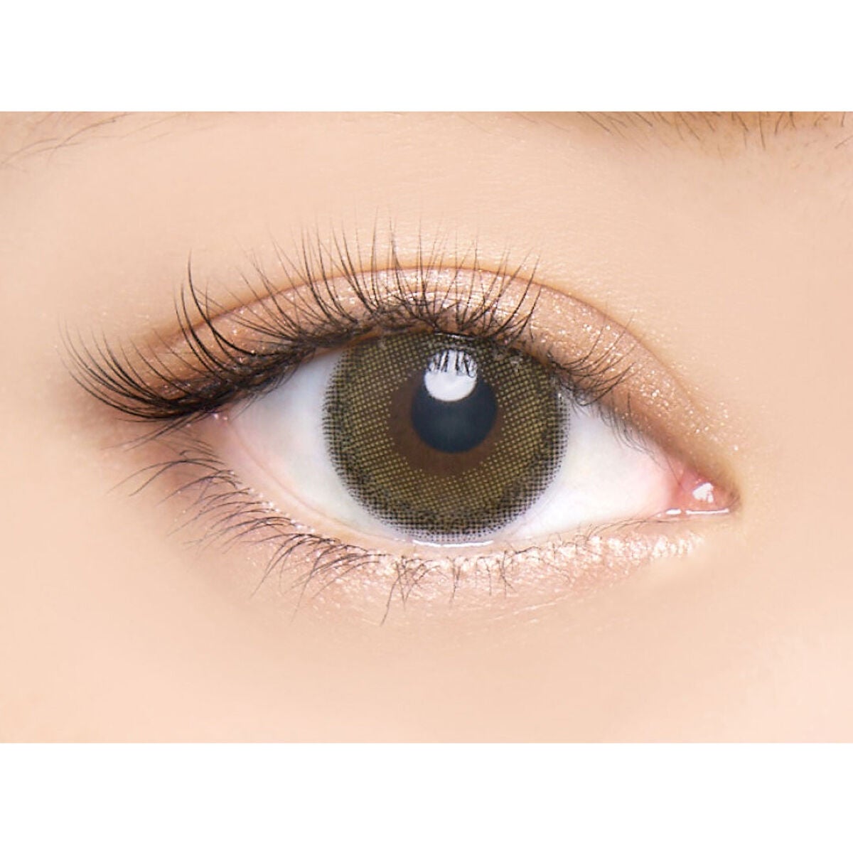 バンビシリーズ ワンデー ナチュラル Pure Olive