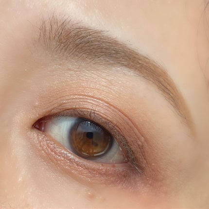 アイカラーレーション/LUNASOL/アイシャドウパレットを使ったクチコミ(4枚目)