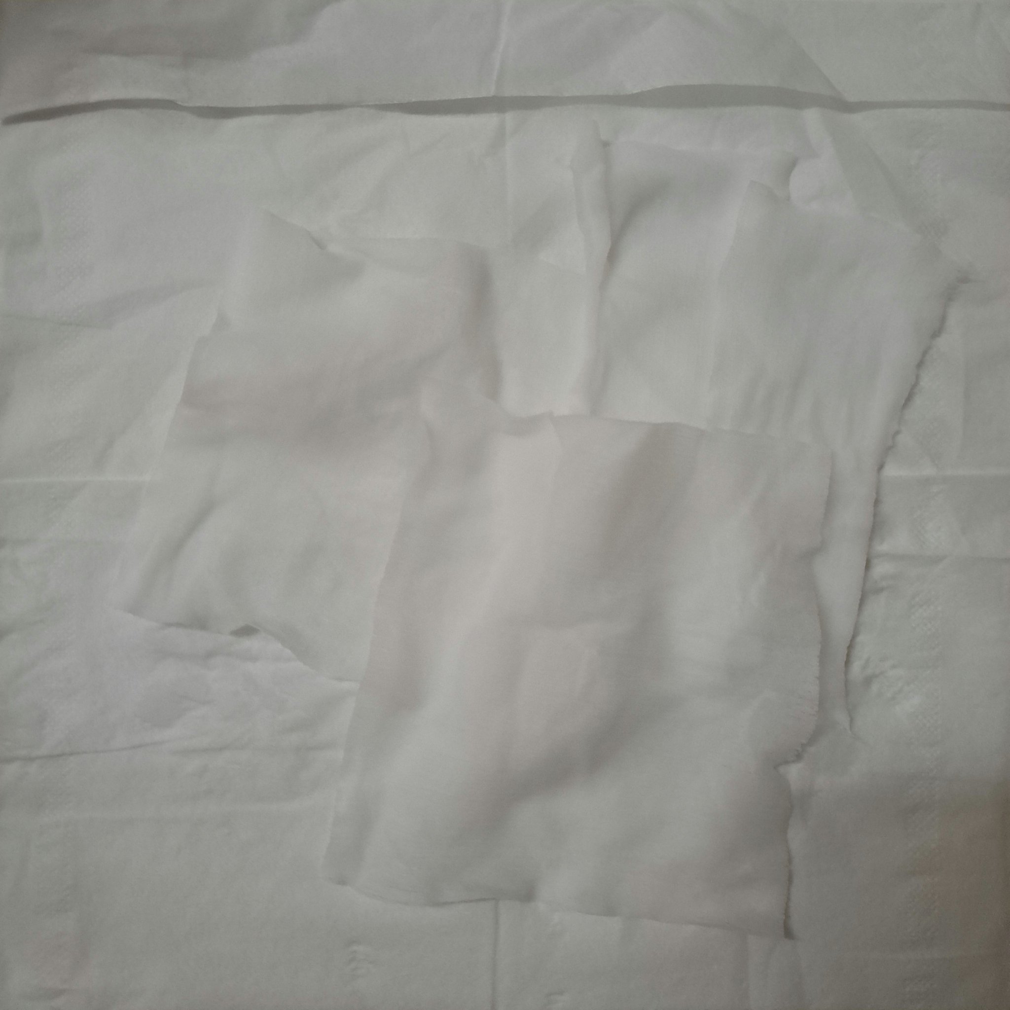 ウォンジョンヨ モイストアップレディスキンパック N/Wonjungyo/シートマスク・パックを使ったクチコミ（3枚目）