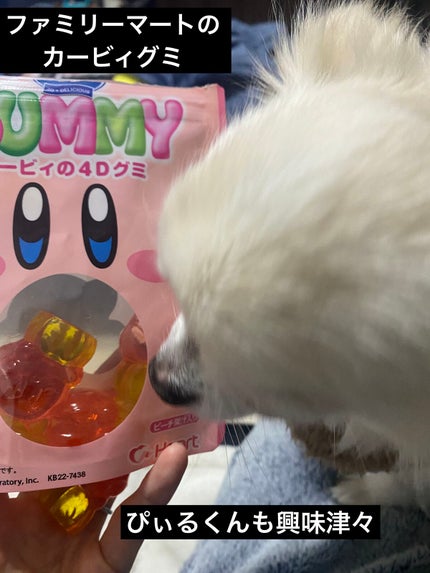 SALON DE EYES/too cool for school/アイシャドウパレットを使ったクチコミ(7枚目)