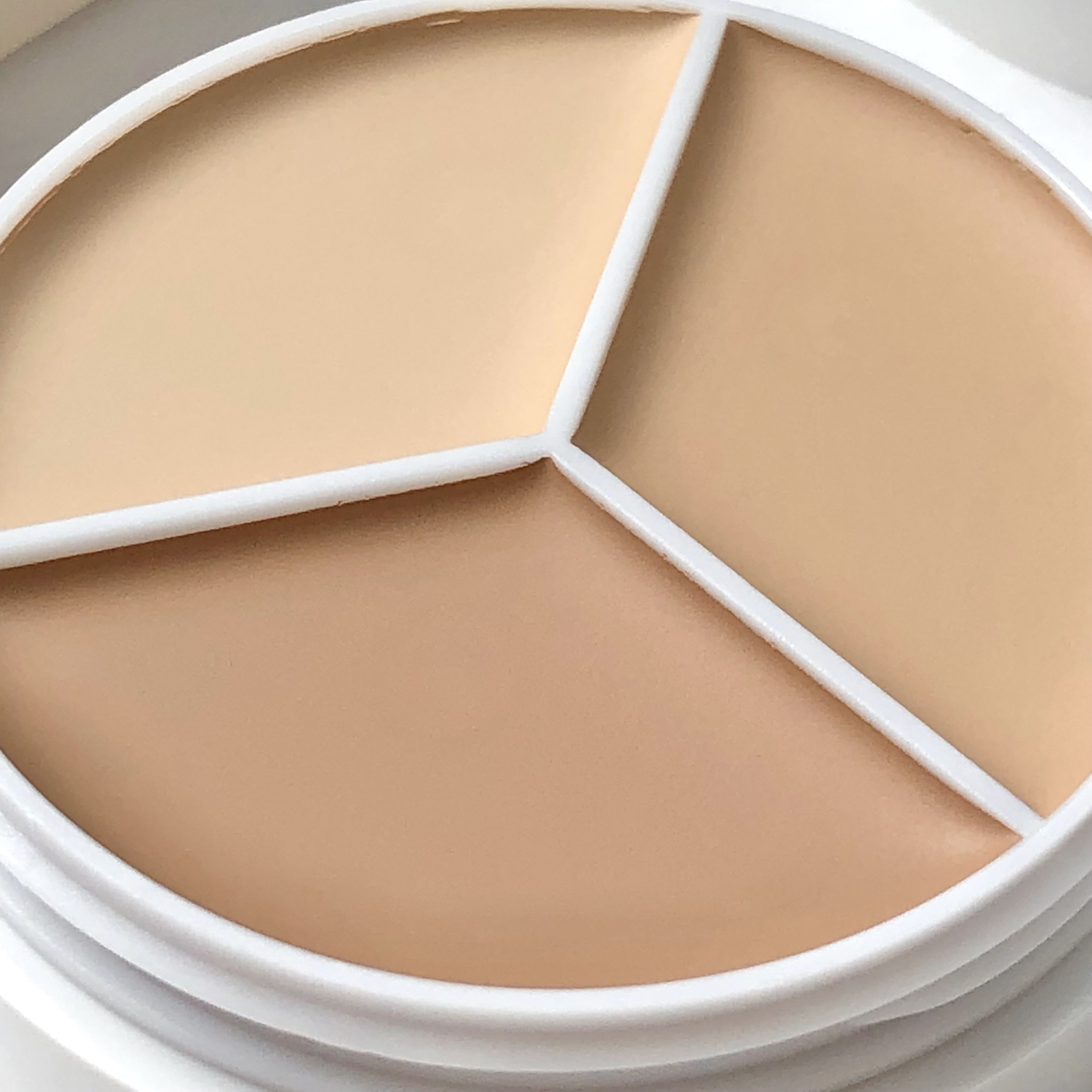 カバーアッププロコンシーラー/TFIT/パレットコンシーラーを使ったクチコミ（3枚目）