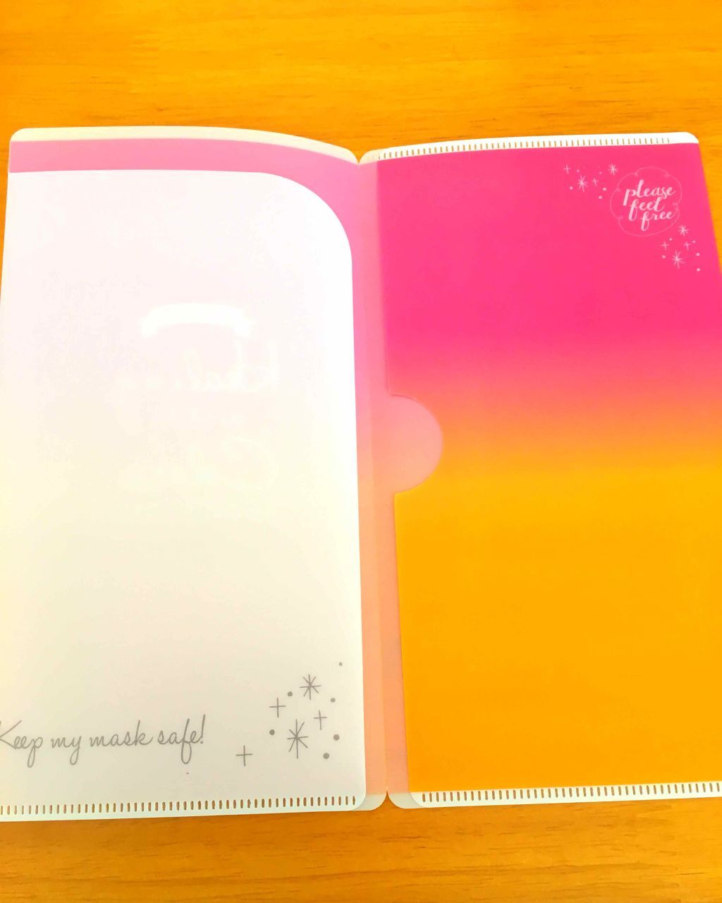 マスクケースグラデーション/セリア/マスクを使ったクチコミ（3枚目）