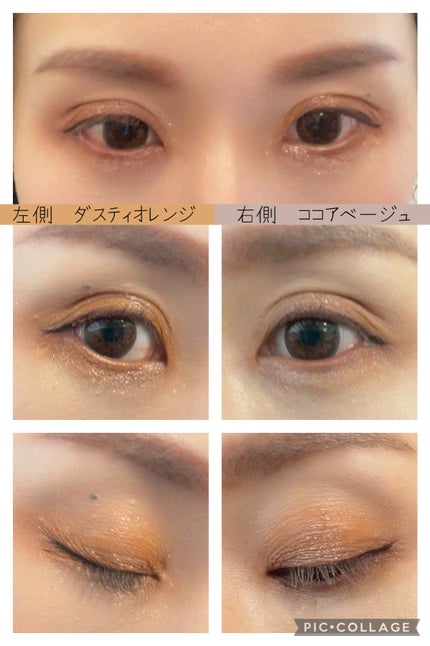 シャドーフラッシュ /MAJOLICA MAJORCA/アイシャドウパレットを使ったクチコミ(4枚目)