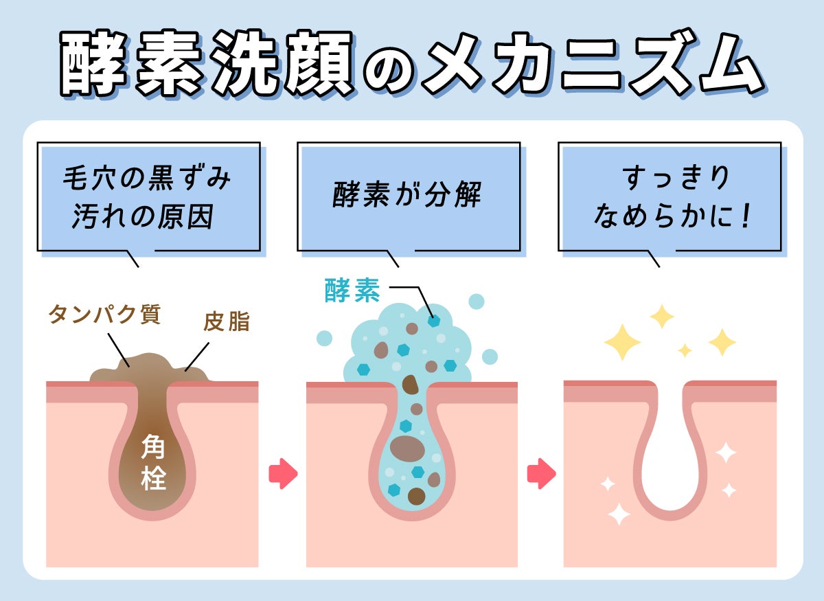 酵素洗顔のメカニズムは、毛穴の黒ずみ汚れの原因である皮脂や角栓などのタンパク質を酵素が分解してすっきりなめらかに洗い上がります。