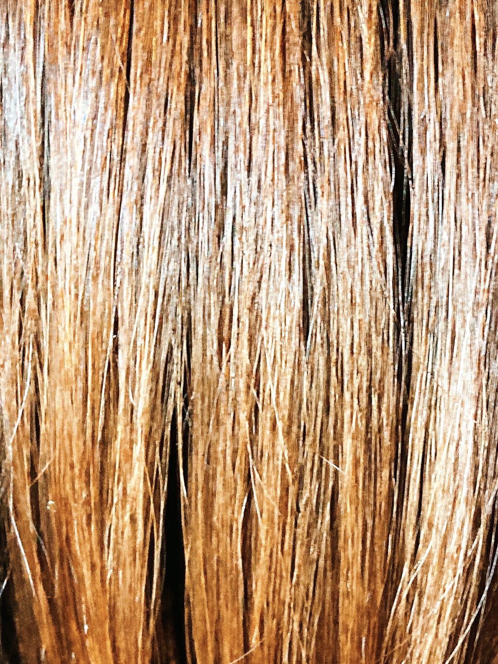 ホイップヘアカラー モカグレージュ/ビューティラボ/ヘアカラーを使ったクチコミ（2枚目）