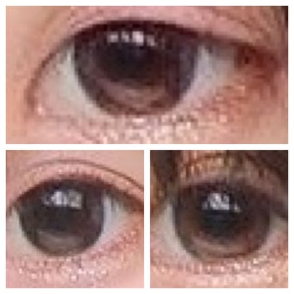 JILL STUART 1day UV/JILL STUART/ワンデー(1DAY)カラコンを使ったクチコミ(2枚目)