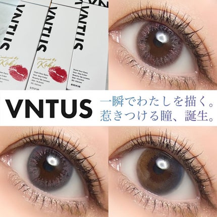 VNTUS 1day/VNTUS/ワンデー(1DAY)カラコンを使ったクチコミ(1枚目)