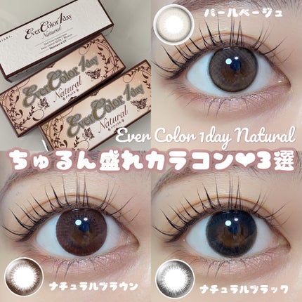 エバーカラーワンデー ナチュラル/エバーカラー/ワンデー(1DAY)カラコンを使ったクチコミ(1枚目)
