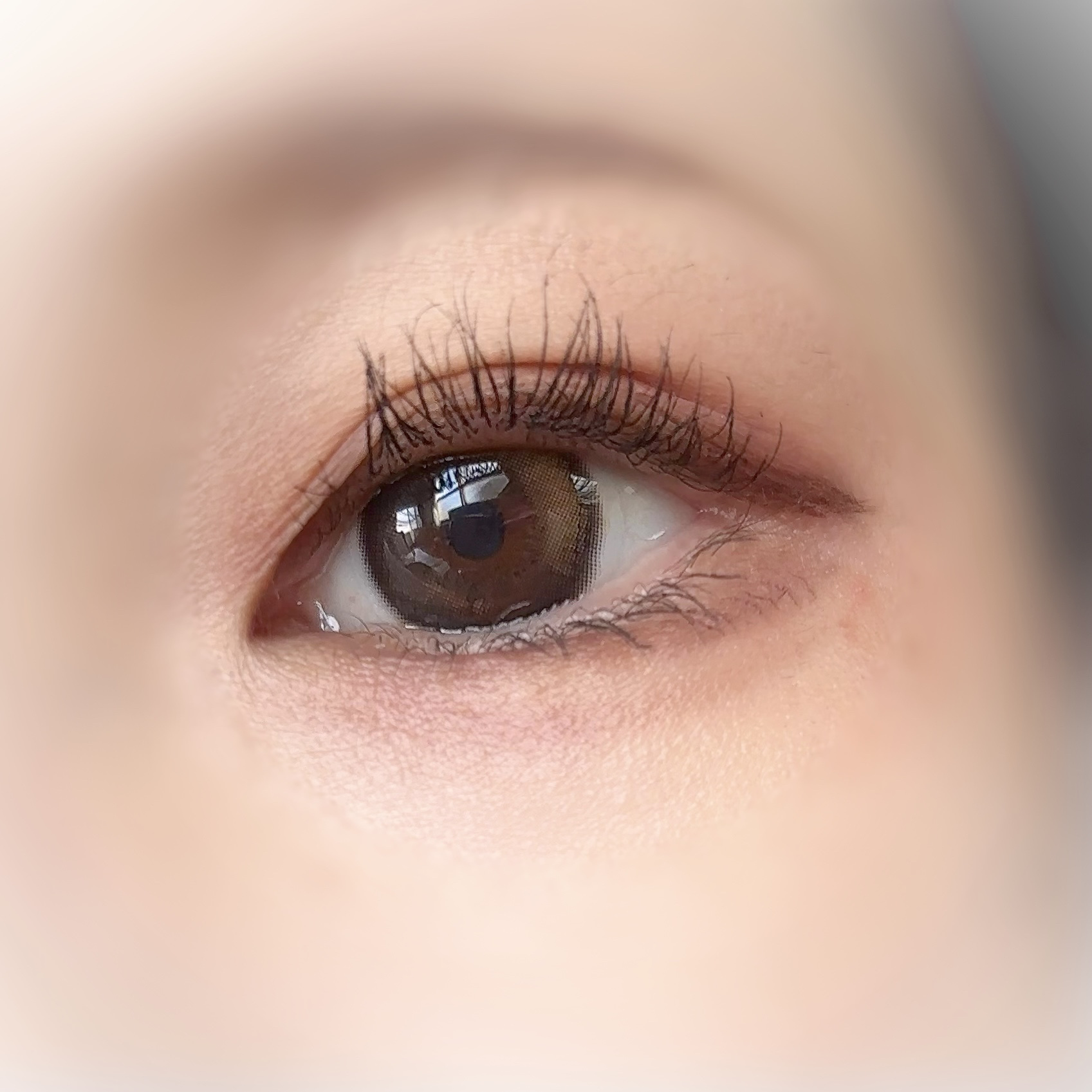 ブラーフィニシュシャドウパレット/Dinto/アイシャドウパレットを使ったクチコミ（2枚目）