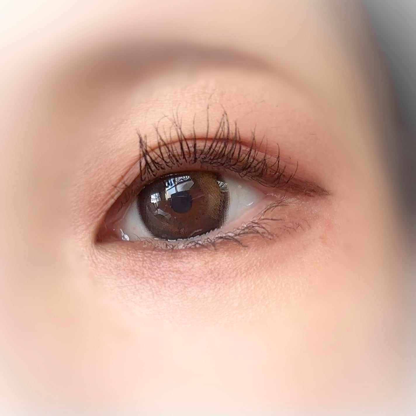 ブラーフィニシュシャドウパレット/Dinto/アイシャドウパレットを使ったクチコミ(2枚目)