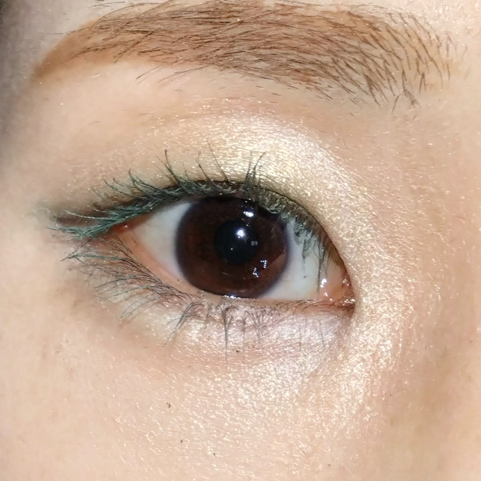 カラーマスカラ/sopo/マスカラを使ったクチコミ（3枚目）