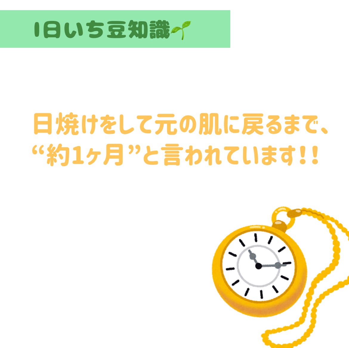 パーフェクトUV スキンケアジェル N/アネッサ/日焼け止め・UVケアを使ったクチコミ（2枚目）