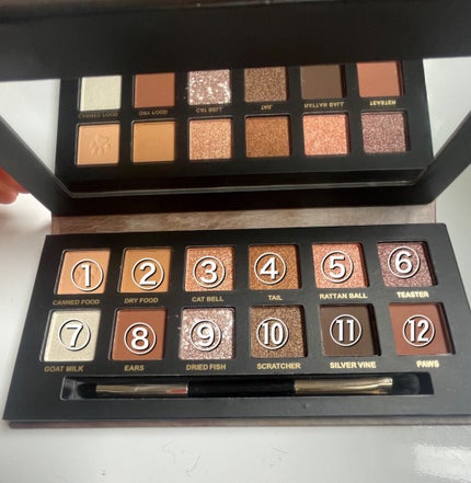 エクスプローラ12色 動物アイシャドウパレット/PERFECT DIARY/アイシャドウパレットを使ったクチコミ(2枚目)