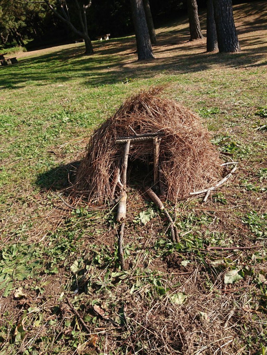 にゃーにゃ一団 on LIPS 「こんにちは✨😃❗今日まで休みでまたまた実家に来てて🏡朝、妹の病..」(6枚目)