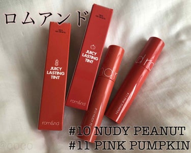 〜ココのコスメ備忘録〜

rom&nd
ジューシーラスティングティントカラー
 #10  nudy peanut
 #11  PINK PUMPKIN

ナチュラルな色味の品番を選んだつもりだったけど思