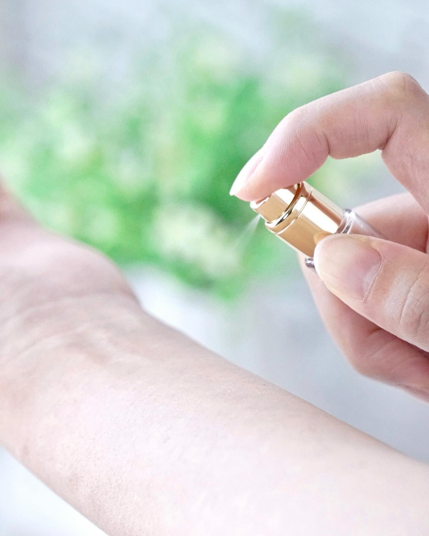 のらにゃん on LIPS 「✨💜✨酷暑のときこそ、キラキラアサガオの香り!・今日のご紹介は..」(4枚目)