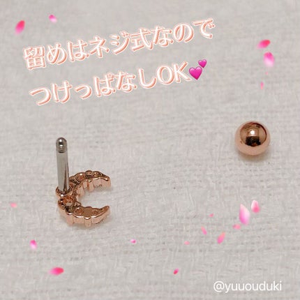 変形 インダストリアル チェーン/凛(RIN)/その他を使ったクチコミ(2枚目)