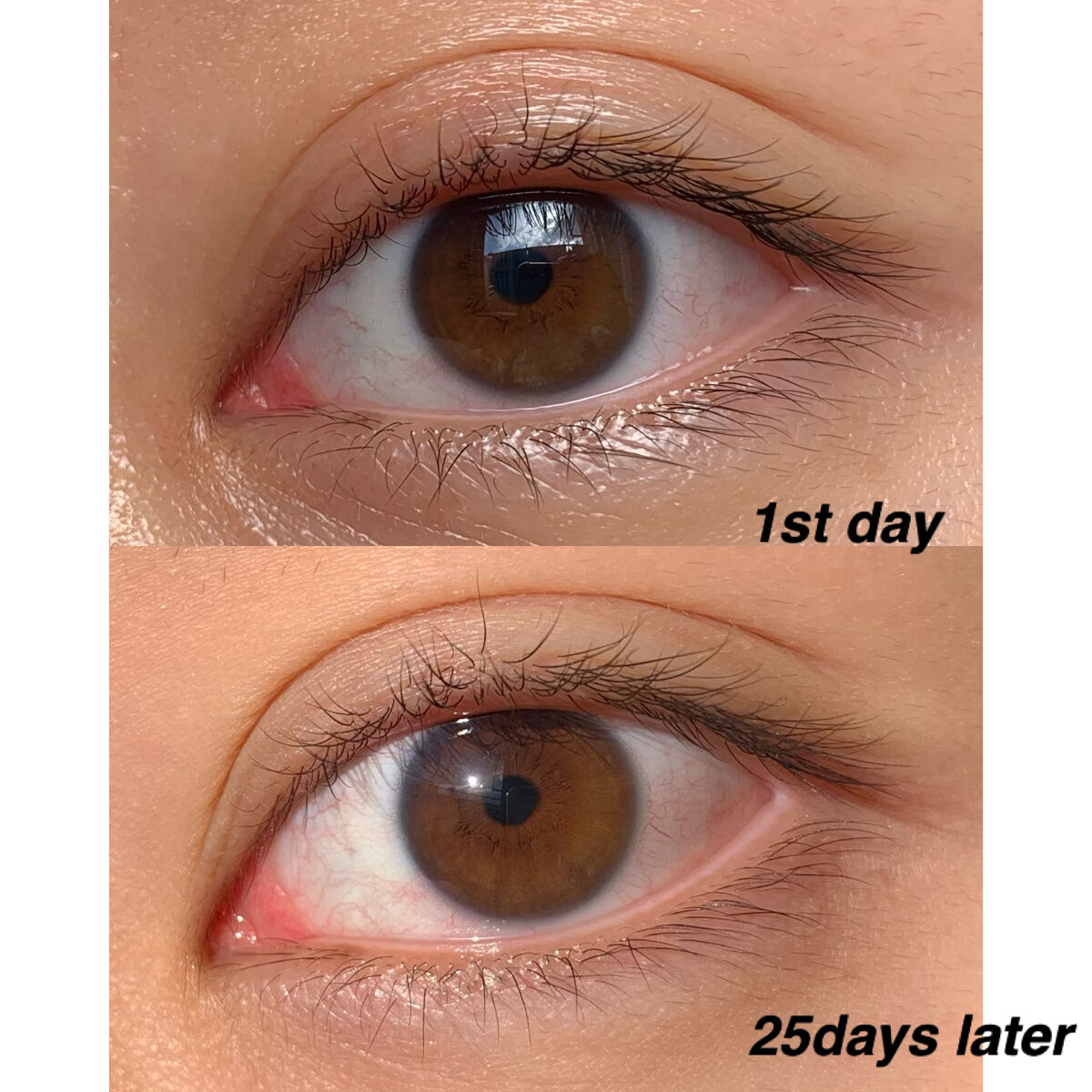 トゥルーアイラッシュセラム/mude./まつげ美容液を使ったクチコミ（3枚目）