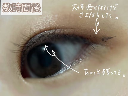 「密着アイライナー」ショート筆リキッド/デジャヴュ/リキッドアイライナーを使ったクチコミ(6枚目)