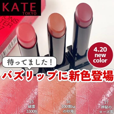 いつも投稿をご覧頂きありがとうございます！


KATE @kate.tokyo.official_jp 
リップモンスター
新色全3色 各￥1,540(税込)


KATEのあのリップモンスターから2