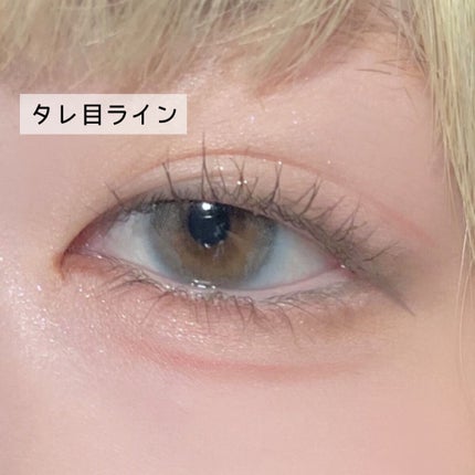 ラスティングリキッドライナー/キャンメイク/リキッドアイライナーを使ったクチコミ(6枚目)