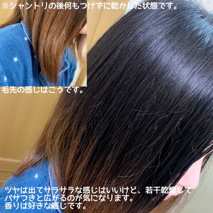 シルキークレンズシャンプー/トリートメント/DROAS/市販シャンプーを使ったクチコミ(3枚目)