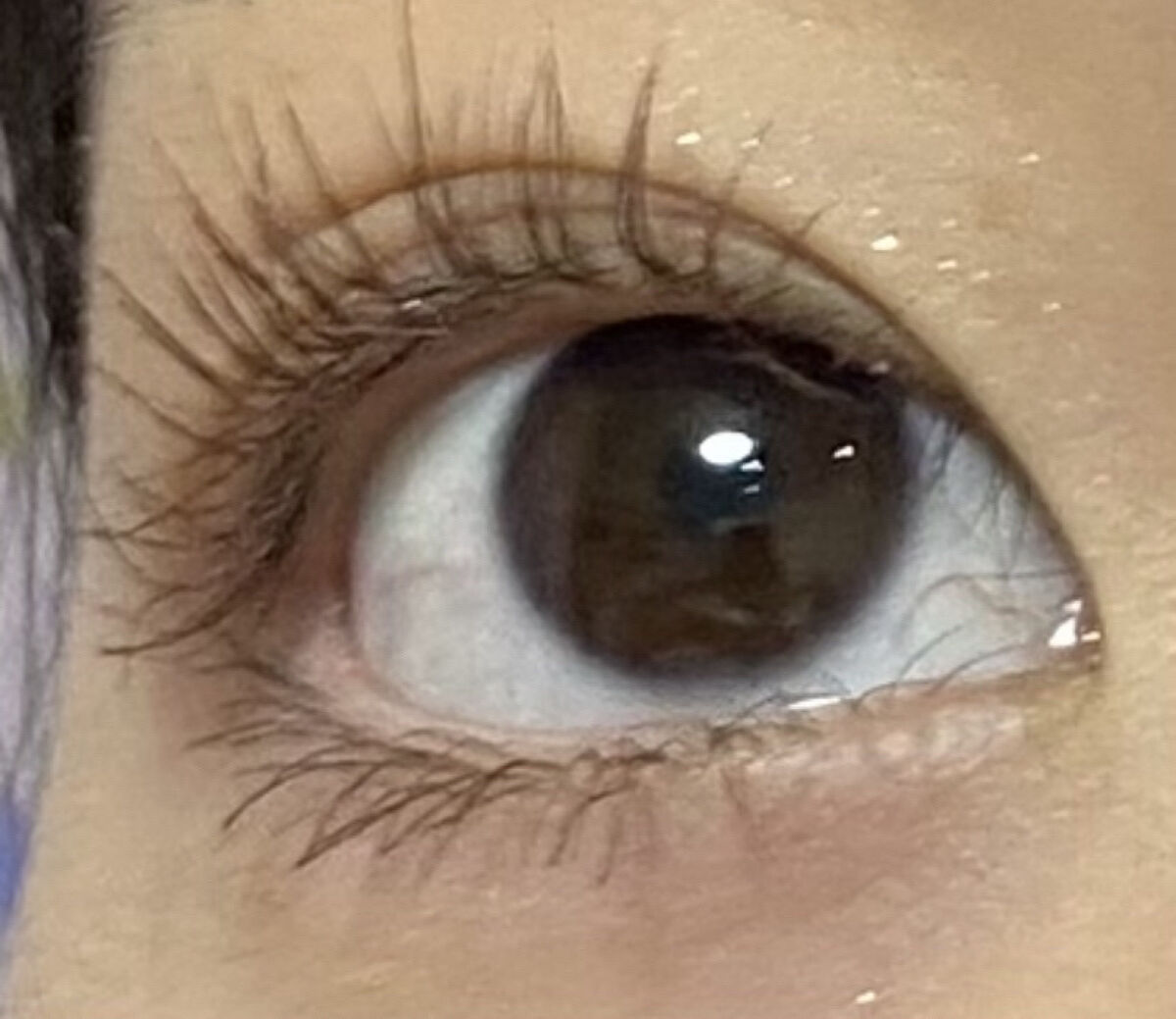 ラッシュエキスパンダー ロングロングロング EX/MAJOLICA MAJORCA/マスカラを使ったクチコミ（2枚目）