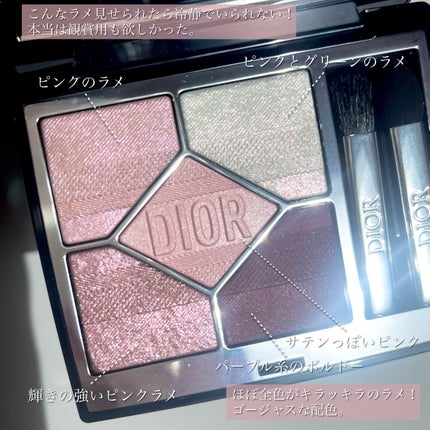 【旧】ディオールショウ サンク クルール(プラン ドゥ パリ コレクション限定品)/Dior/アイシャドウを使ったクチコミ(3枚目)