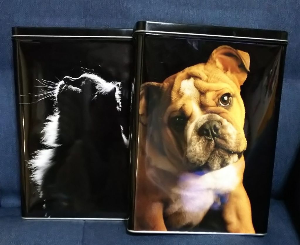 福袋2020/CEZANNE/メイクアップキットを使ったクチコミ(1枚目)