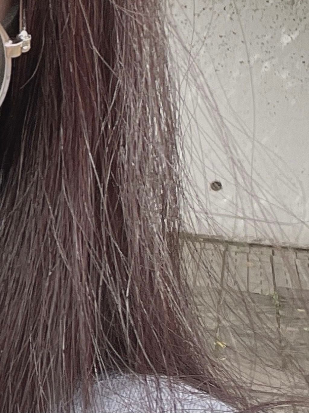 コンパクトスタイラー/TANGLE TEEZER/ヘアブラシを使ったクチコミ(3枚目)