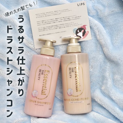 ã¶ãã¥ãŒã㣠ãªãã¢ã·ã£ã³ããŒã»ã³ã³ãã£ã·ã§ããŒ/ãšãã»ã³ã·ã£ã«/åžè²©ã·ã£ã³ããŒã䜿ã£ãã¯ãã³ãïŒ1æç®ïŒ