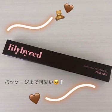 ナイントゥナインサバイバルペンライナー/lilybyred/リキッドアイライナーを使ったクチコミ（1枚目）