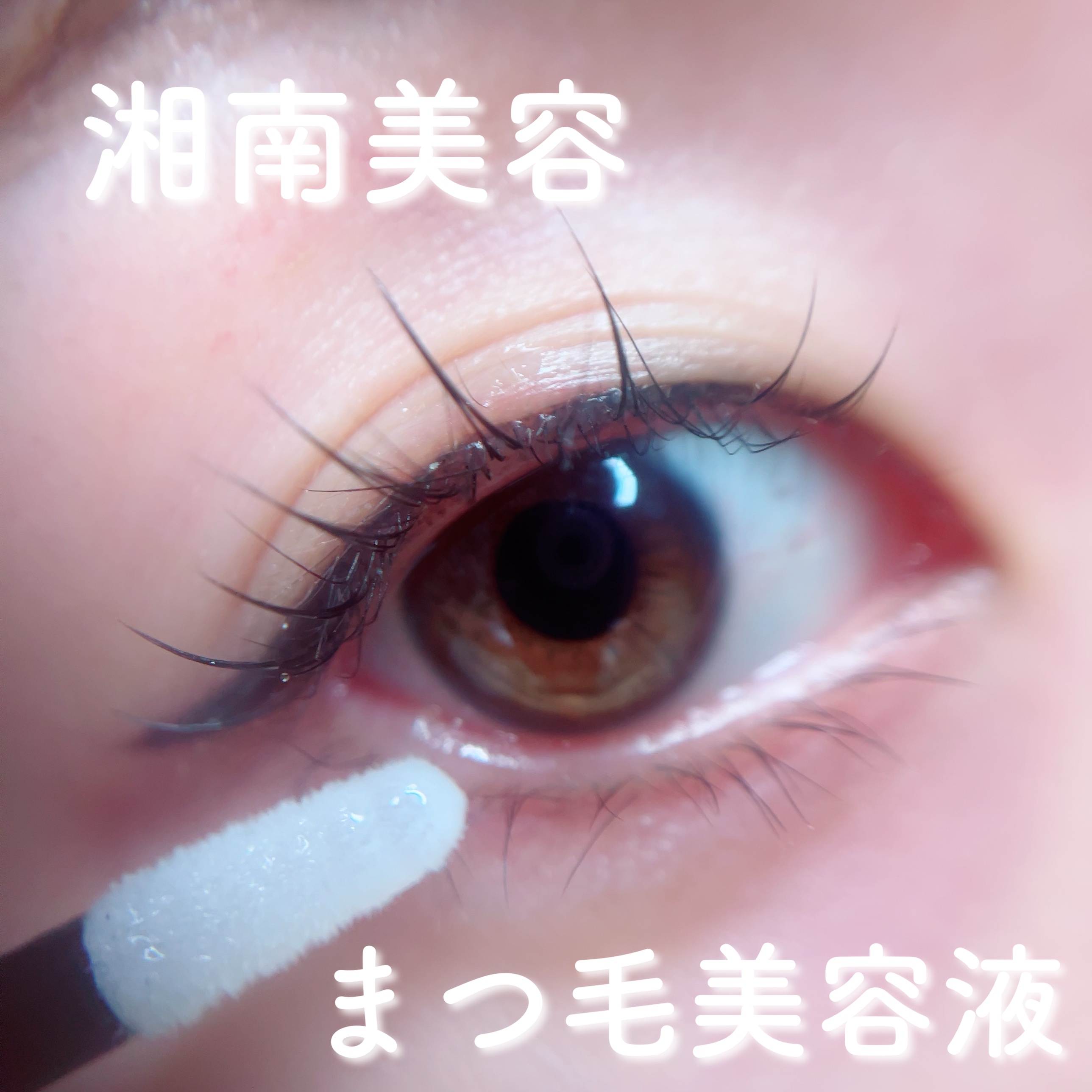 湘南美容まつ毛美容液PREMIUM/湘南美容/まつげ美容液を使ったクチコミ（1枚目）