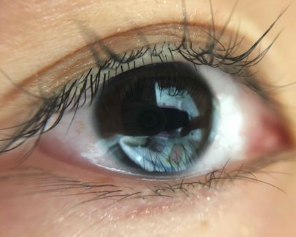 接写&魚眼レンズ/DAISO/その他を使ったクチコミ(2枚目)